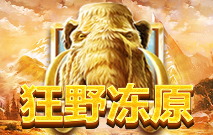 五五世纪官网登录